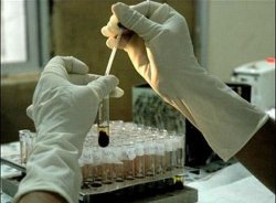 В Атырау ВИЧ-инфицированных становится всё больше