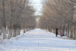 Возродим единственный в городе парк?