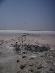 Целебная грязь Карабатана