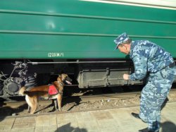 Таможня стала быстрее давать «добро»