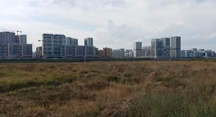 иллюстративное фото