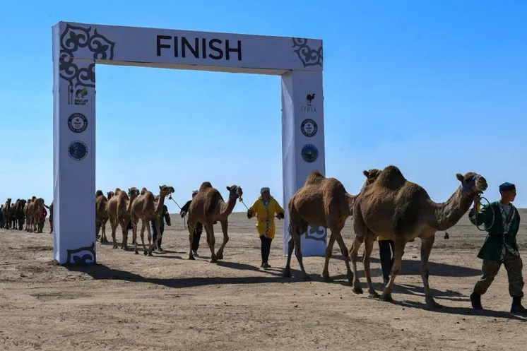 фото акимата Алматинской области