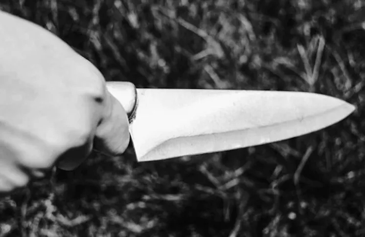 иллюстративное фото