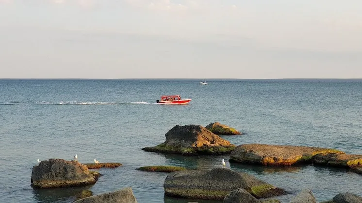 иллюстративное фото