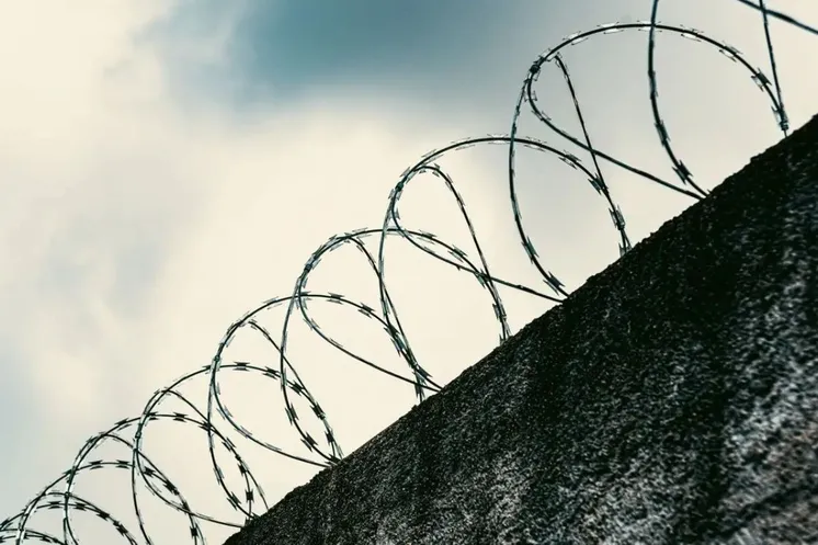 иллюстративное фото