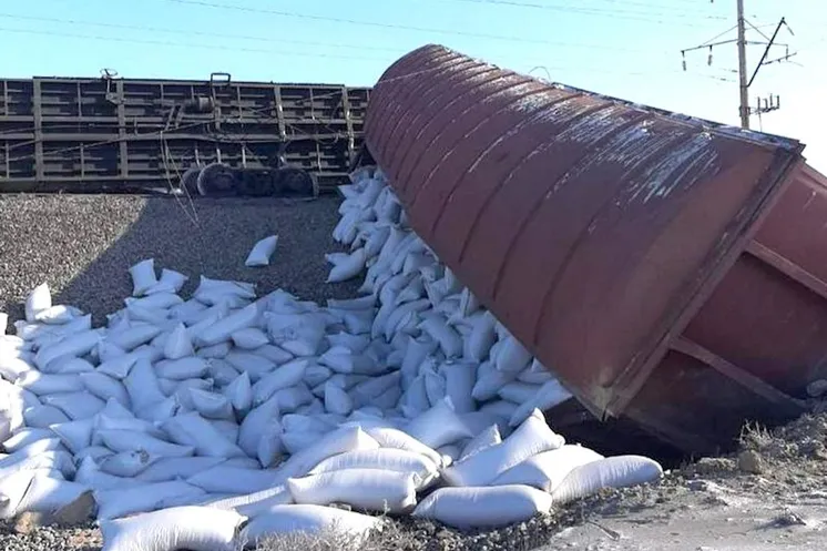 фото Светланы Могай