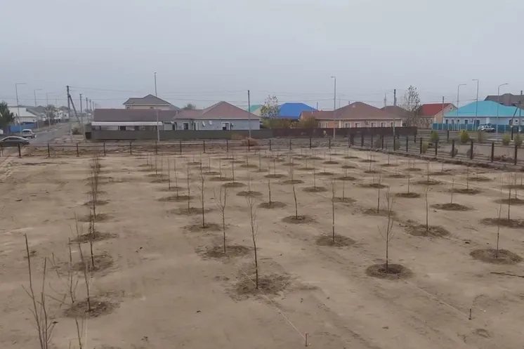 скриншот видео