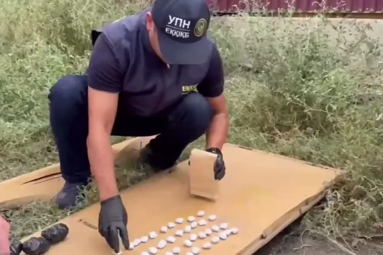 скриншот видео