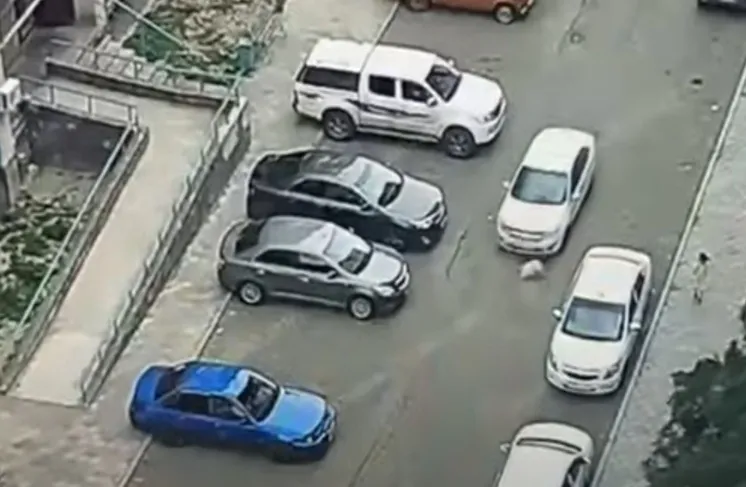 скриншот видео