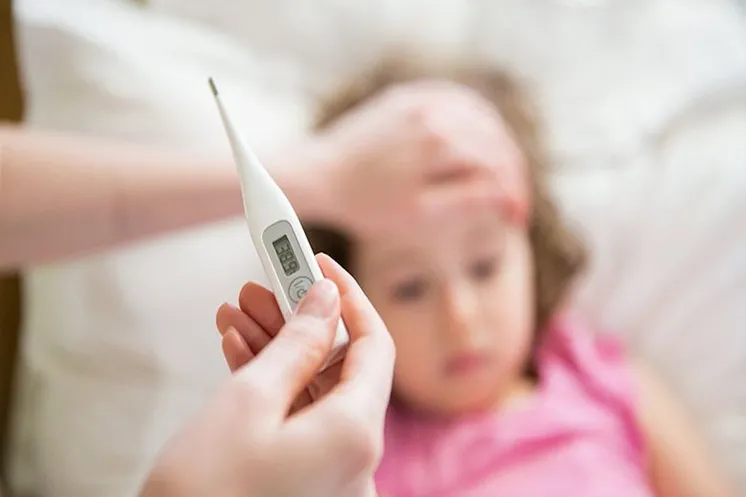 Фото из открытых источников.