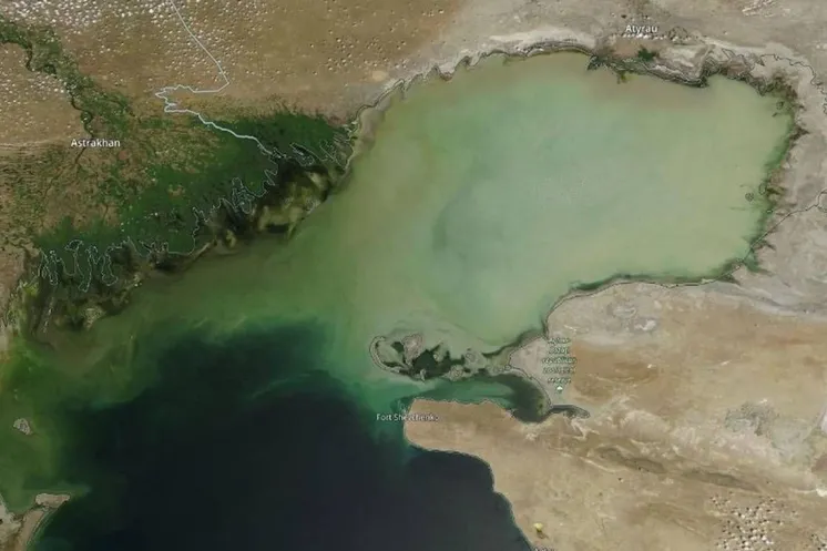 Космический снимок северной части Каспийского моря, 12 июля 2023 г. (Снимок проекта «NASA») // Фото: kazhydromet.kz