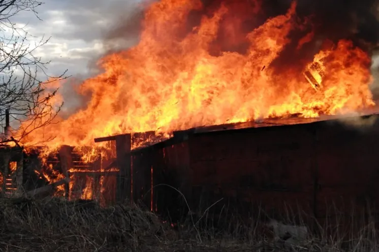 иллюстративное фото