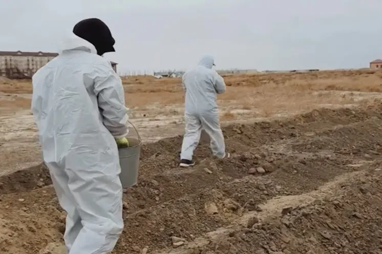 скриншот видео