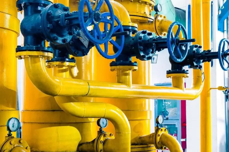 иллюстративное фото