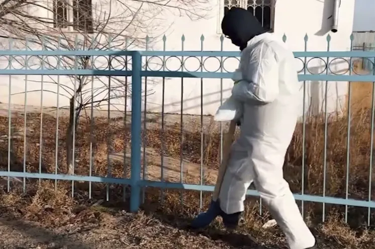 скриншот видео