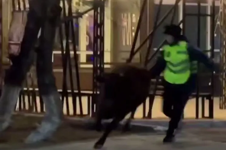 скриншот видео