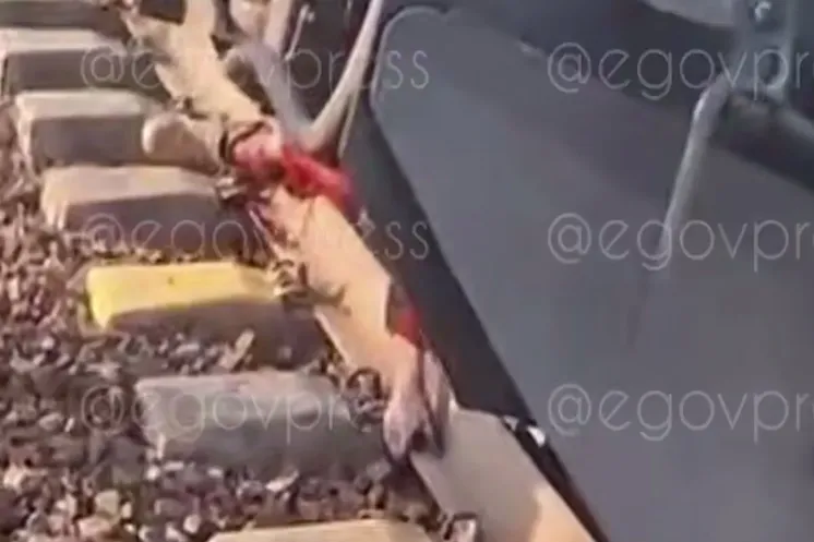 скриншот видео egov.press