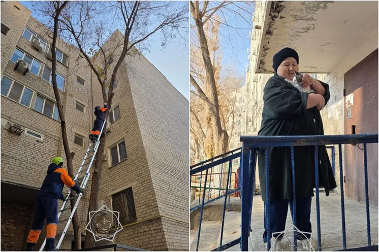 фото МЧС РК