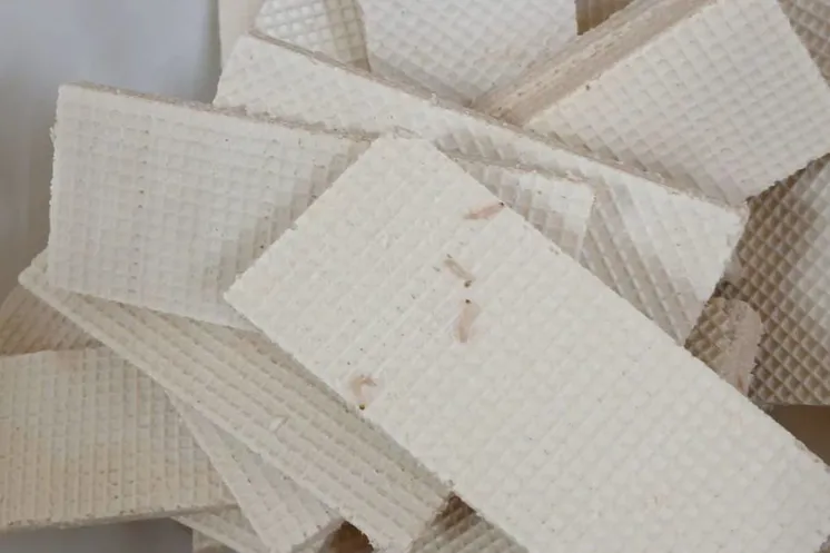 фото очевидцев