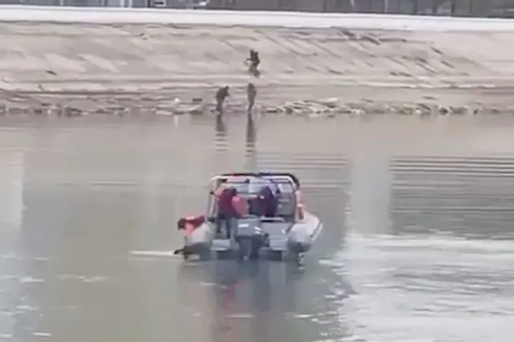 скриншот видео