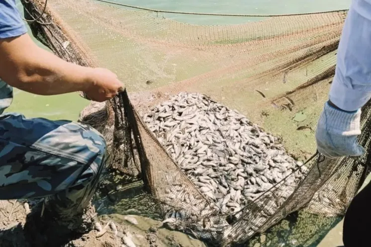 Фото из архива "АЖ"