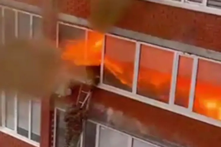 скриншот видео