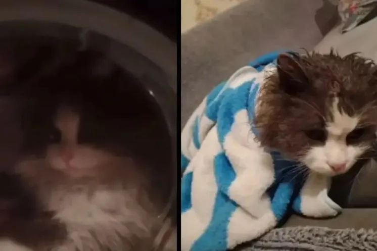 Кадры из видео: Threads/@juldyzmurzabaeva