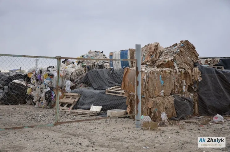 иллюстративное фото