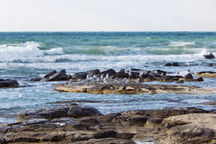 Каспийское море, фото Canva