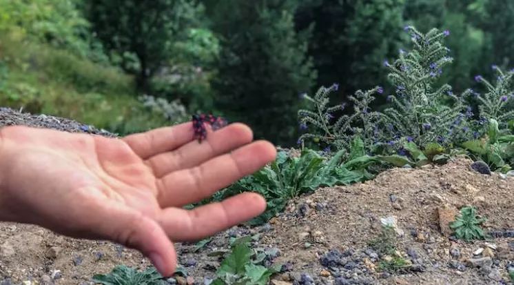 Фото: freepik.com